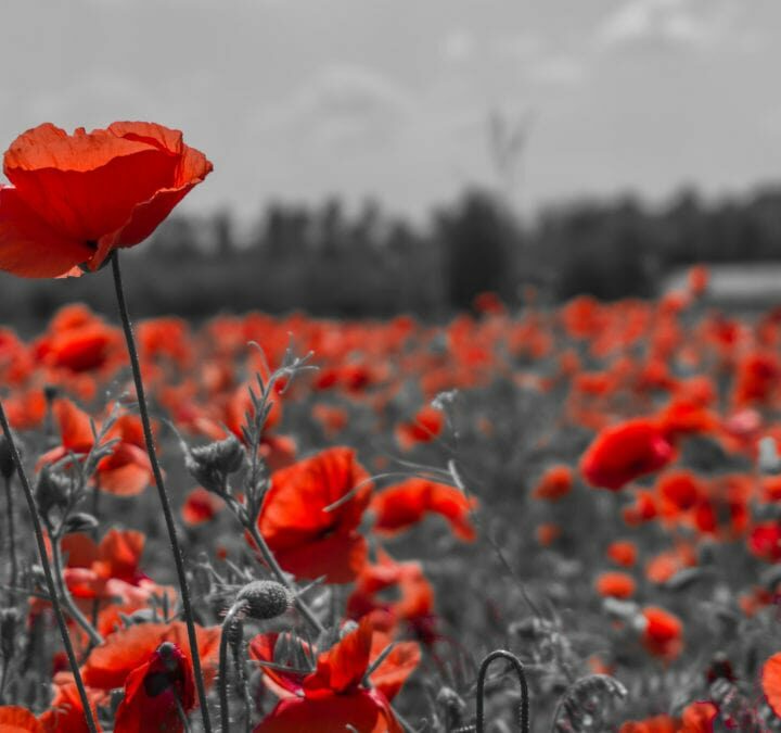 Remembrance day 2021